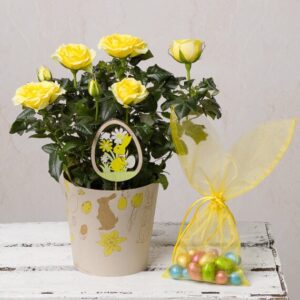 Easter Rose Gift