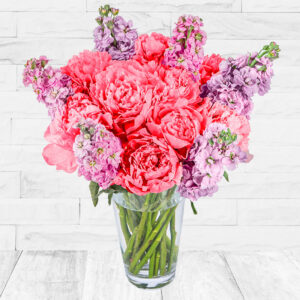 British Peonies and Stocks