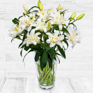 Double-Flowering Lilies
