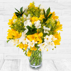 Fabulous Freesia