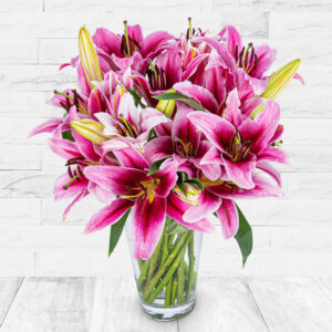 Luxury Pink Lilies