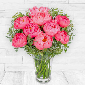 Pretty Peonies