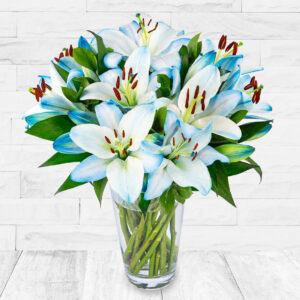 Sapphire Lilies