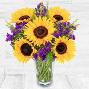 Sunflower Spectacular