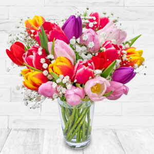 Tulip Delights
