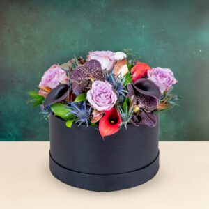 Violetta