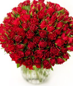 100 Red Roses
