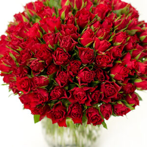 50 Red Roses