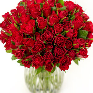 50 Red Roses