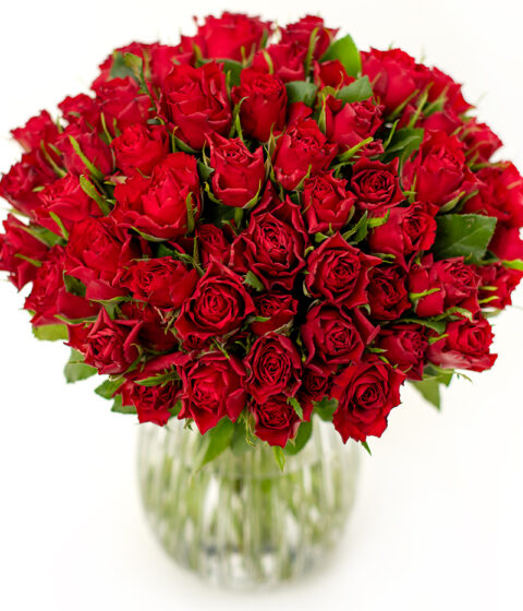 50 Red Roses