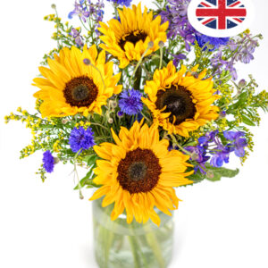 British Summer Meadow