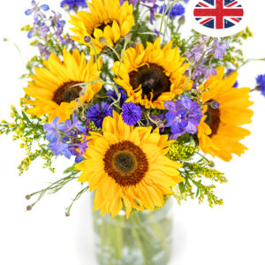 British Summer Meadow