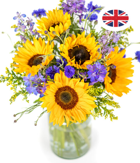 British Summer Meadow