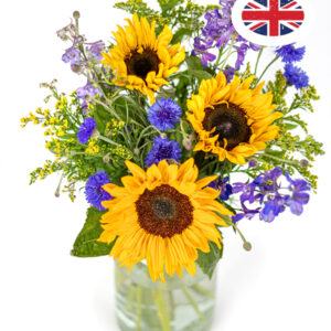 British Summer Meadow