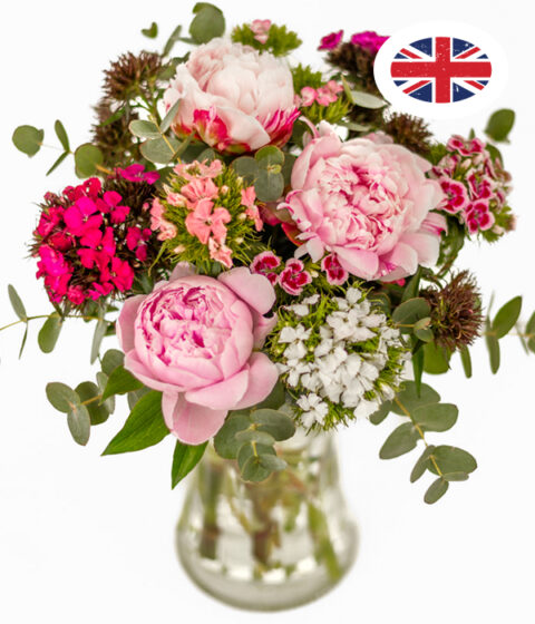 Peonies and Sweet Williams