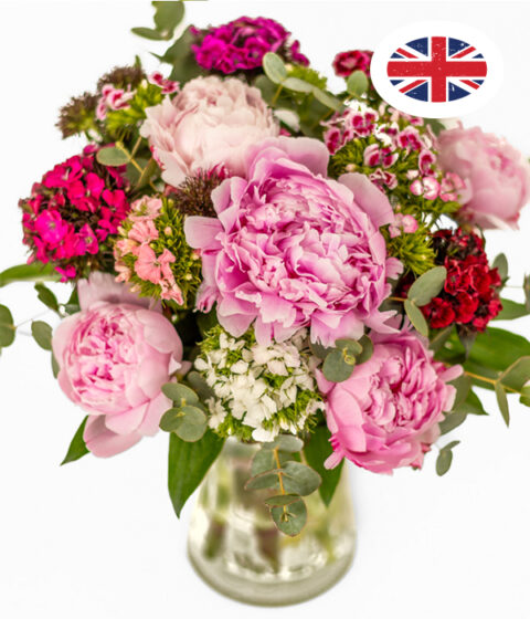 Peonies and Sweet Williams