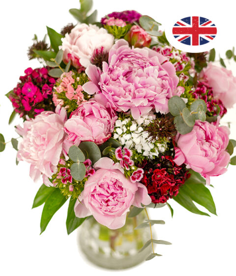 Peonies and Sweet Williams