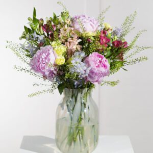 Peony Dream